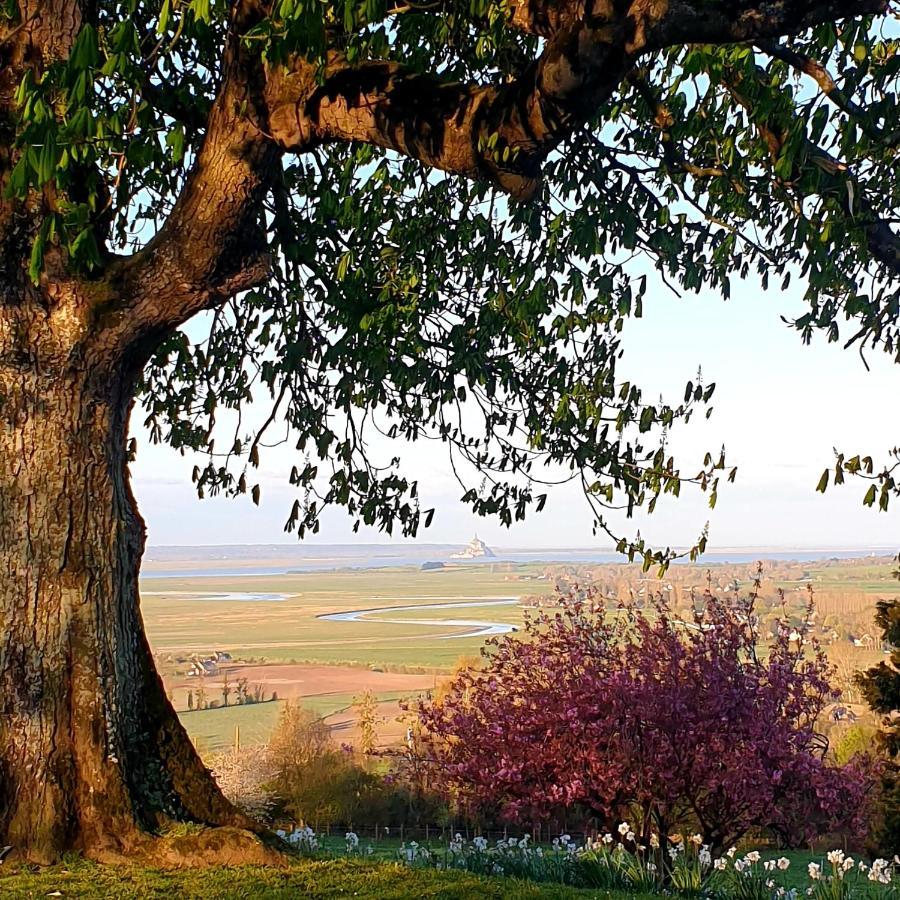L'Abrincat'Studio, Centre Entre Donjon Et Vue Mont Avranches Esterno foto